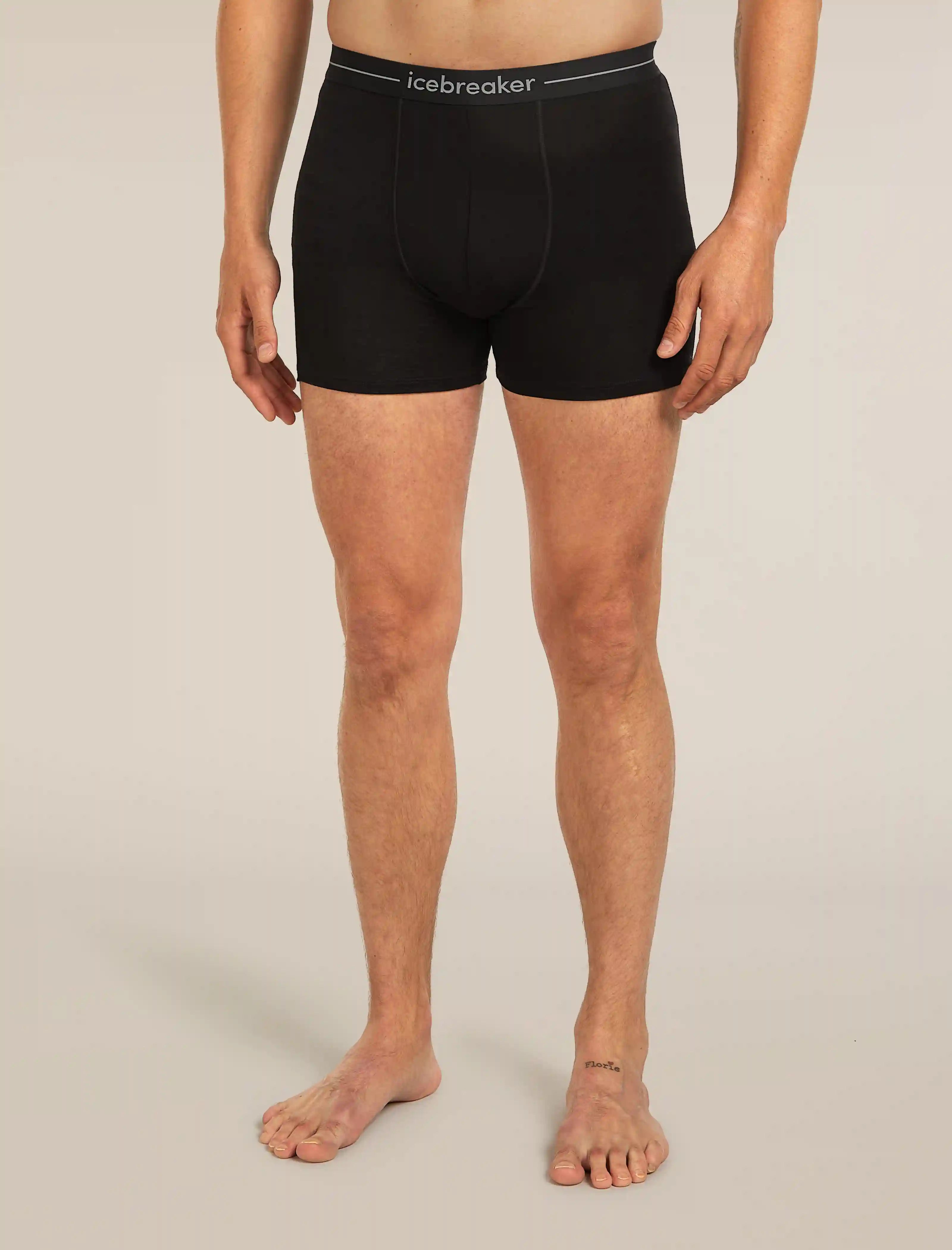 icebreakernatural.it.com
