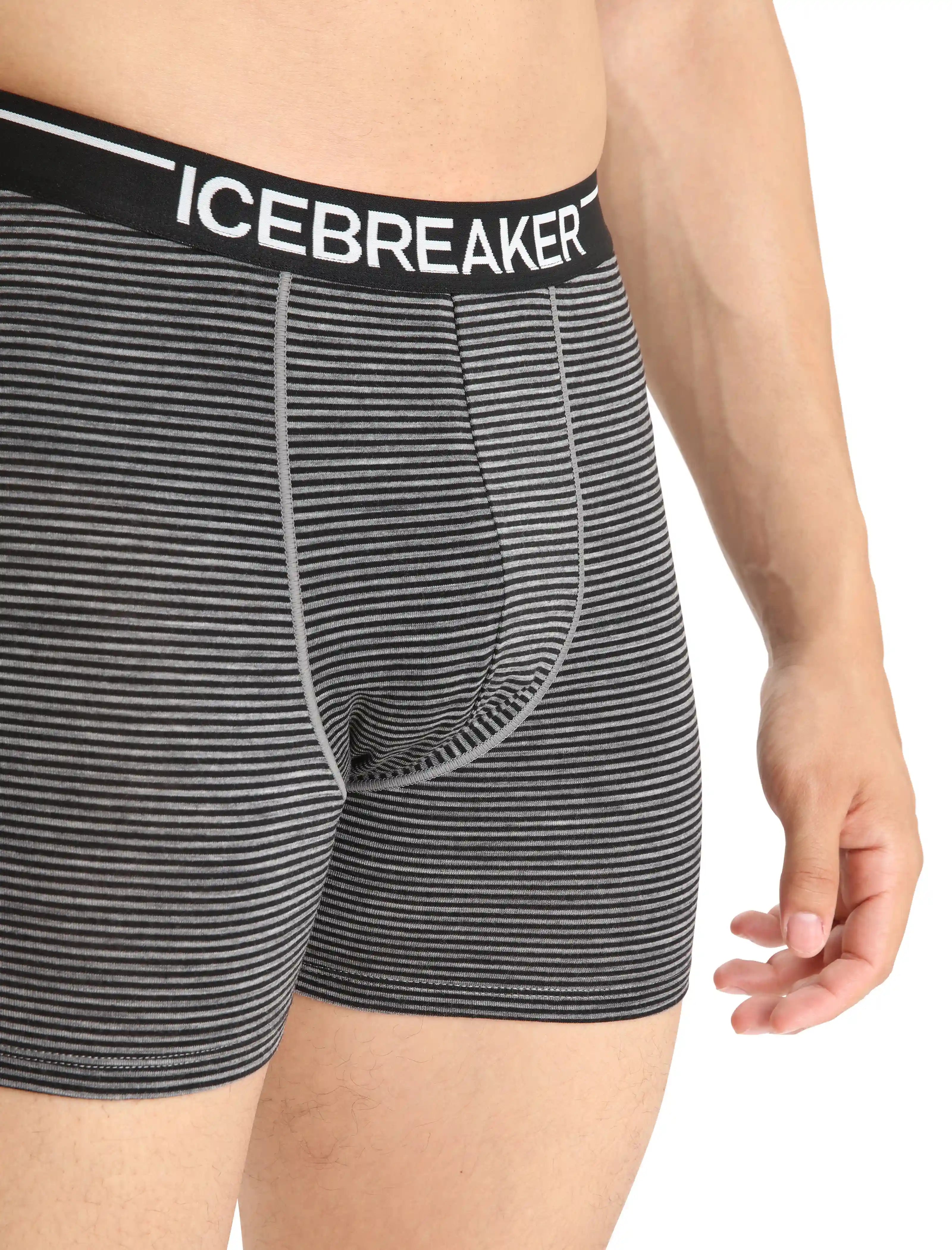icebreakernatural.it.com