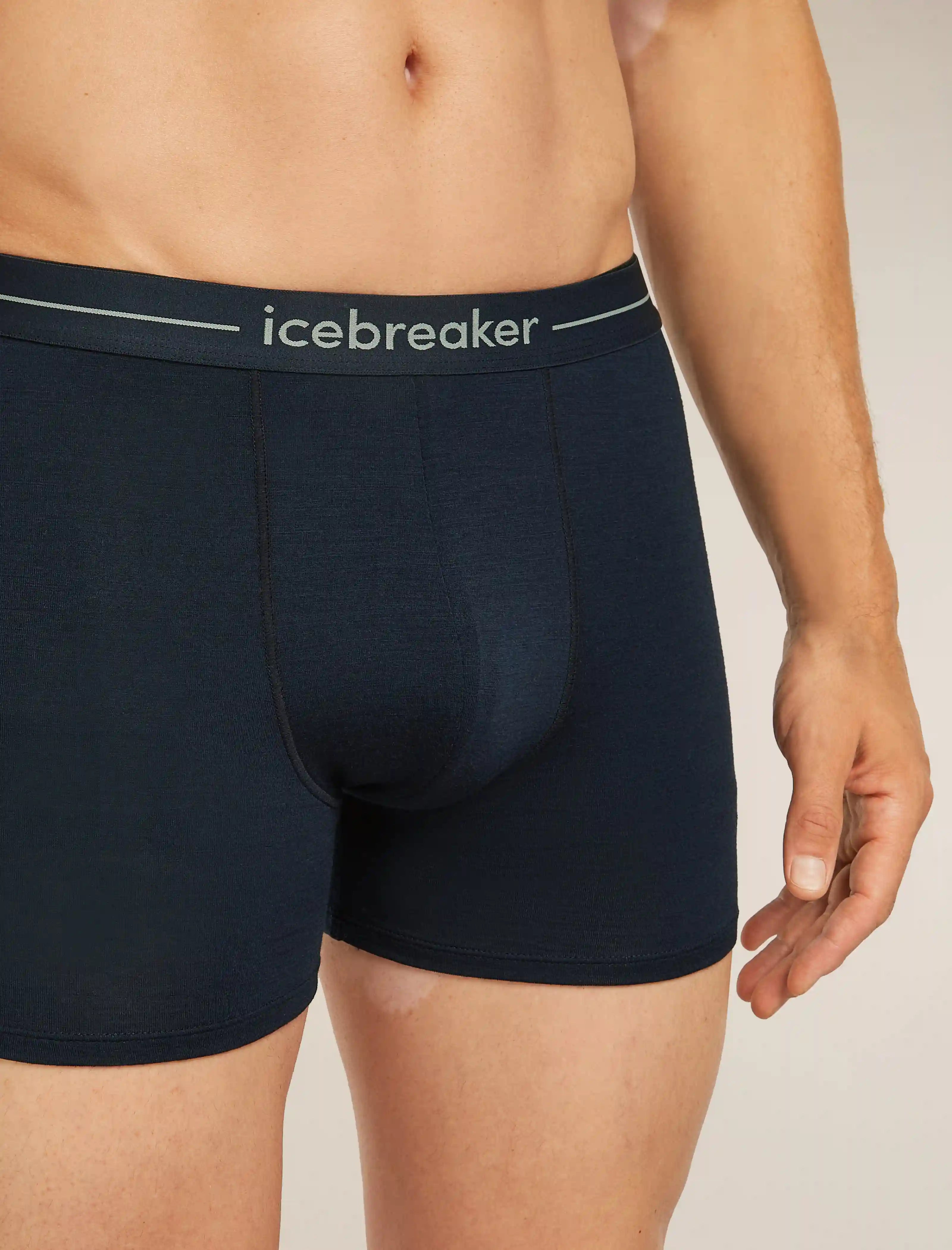 icebreakernatural.it.com